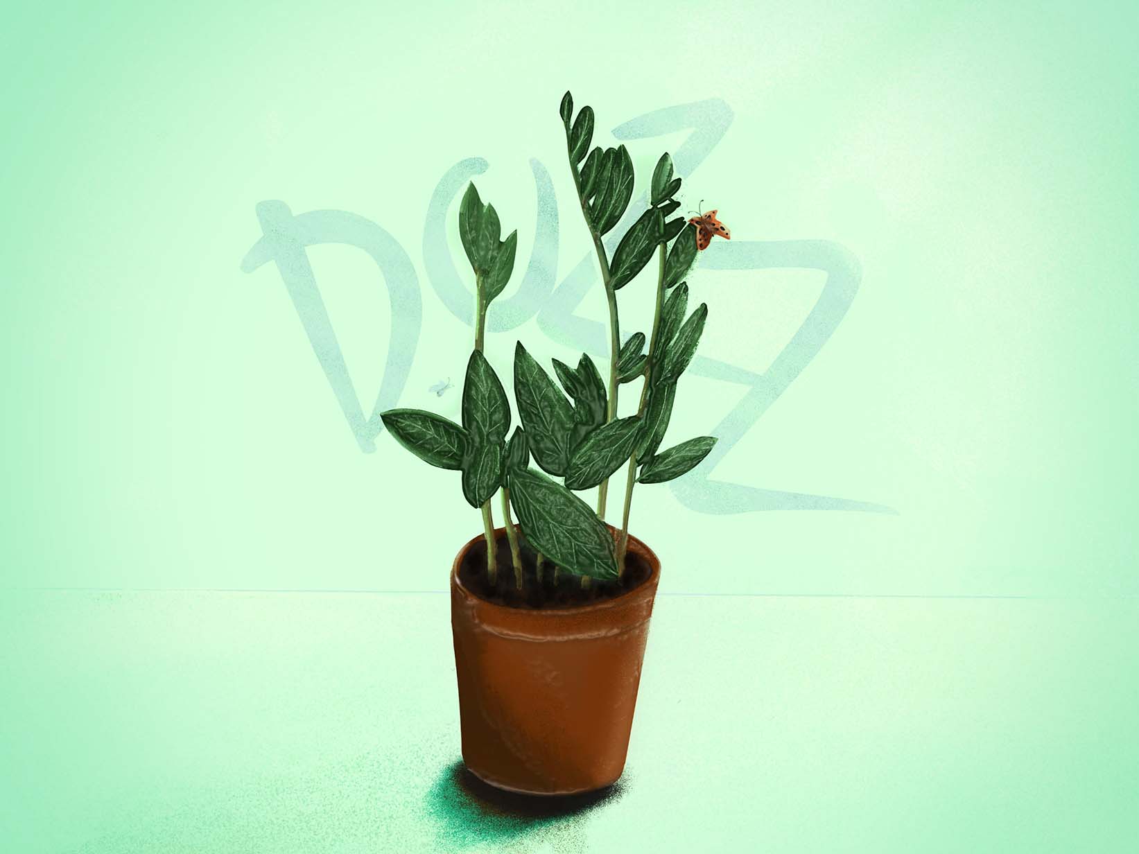 D O Double Z is my name.