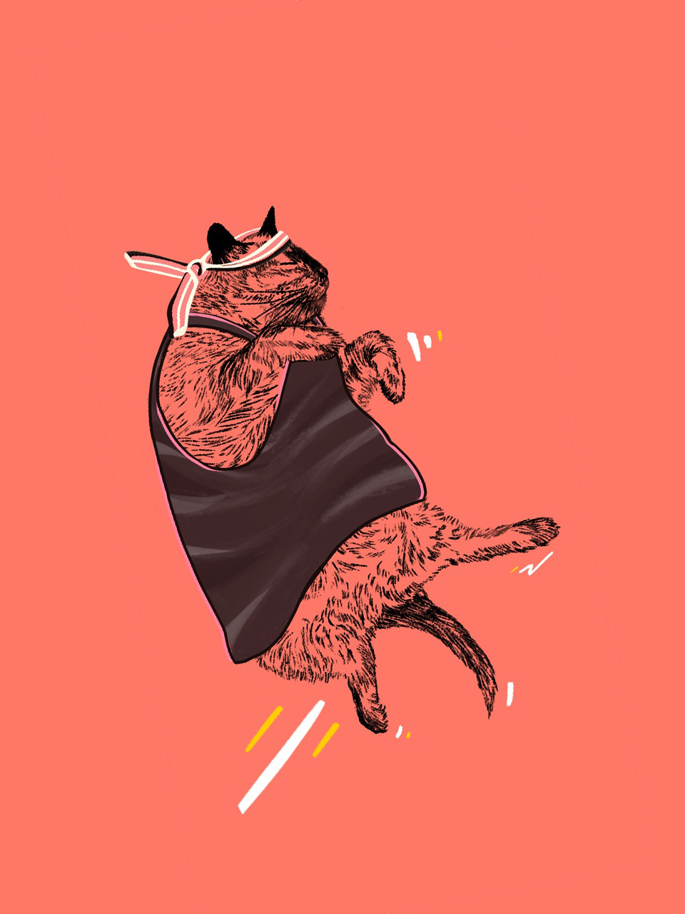 My cat dreaming himself as a Ninja