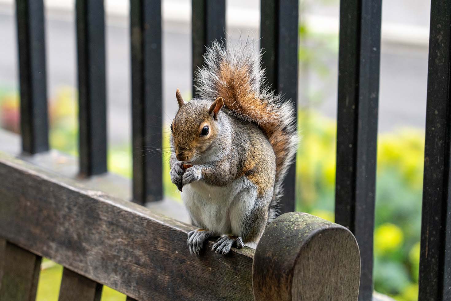 Lunch break on the bench, 2024, London